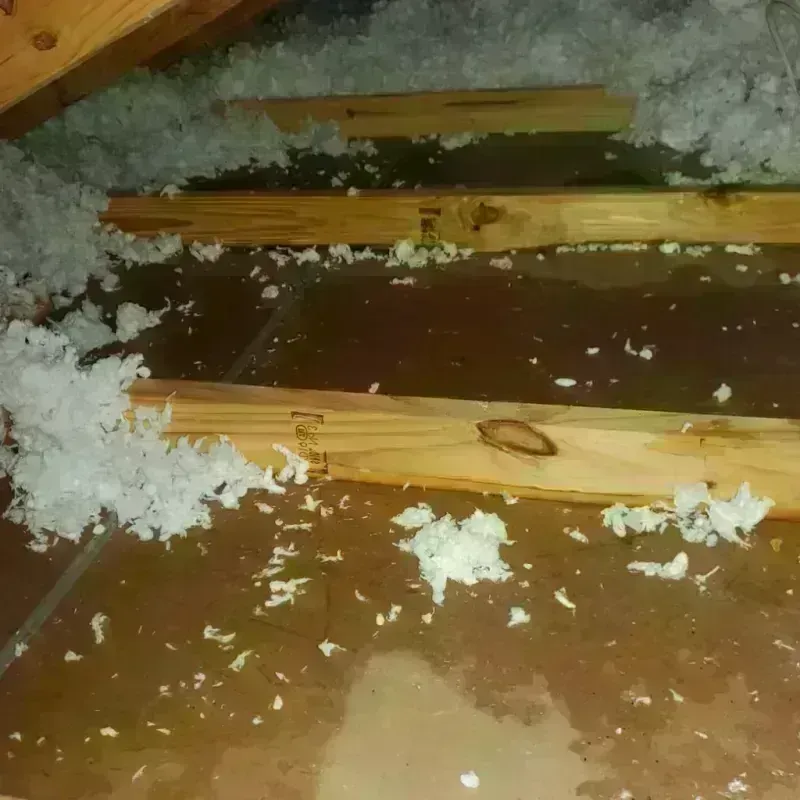 Attic Water Damage in Mount Pleasant, IA