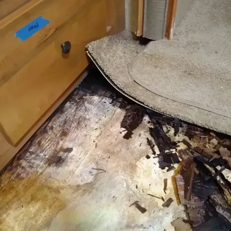 Wood Floor Water Damage in Mount Pleasant, IA